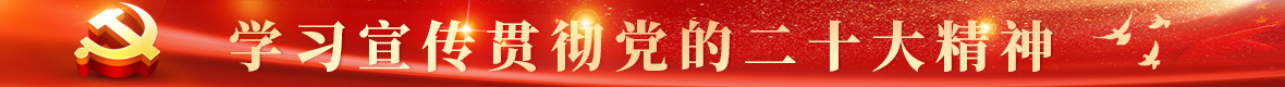 学习宣传贯彻党的二十大精神